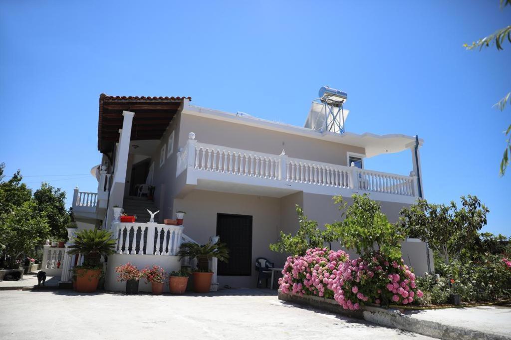 Guest House Narta Vlorë Esterno foto
